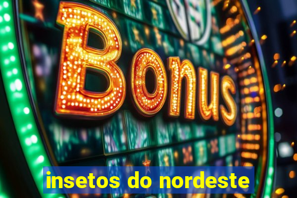 insetos do nordeste